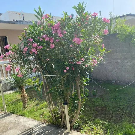 Holiday home Coral Velipoje